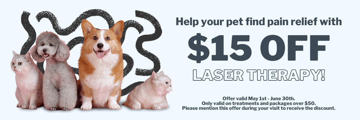 $15 OFF Laser Therapy, only valid on packages over $50, offer valid until June 30th 2023, mention this offer to receive discount